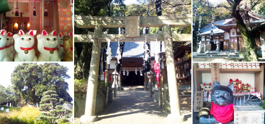 王子神社|徳島 猫神さん